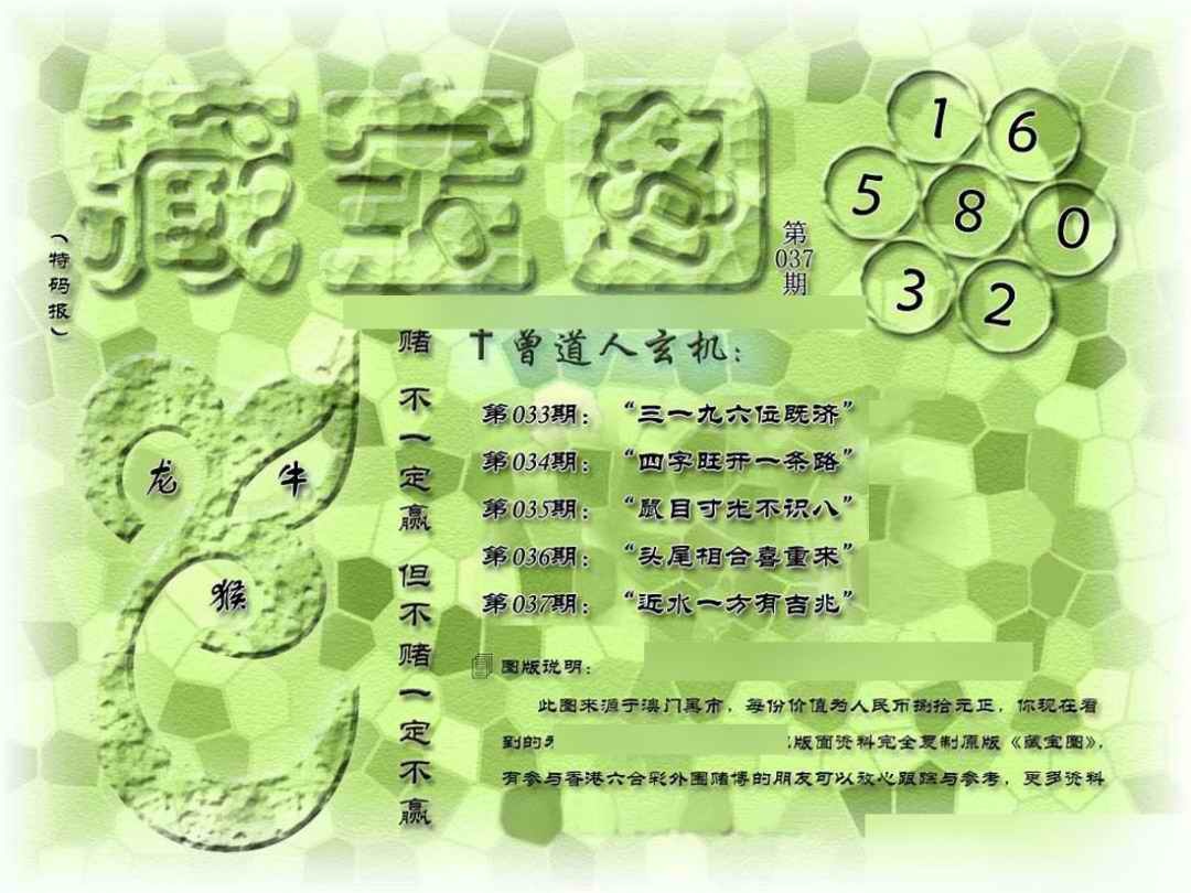 037期假新藏宝图[图]
