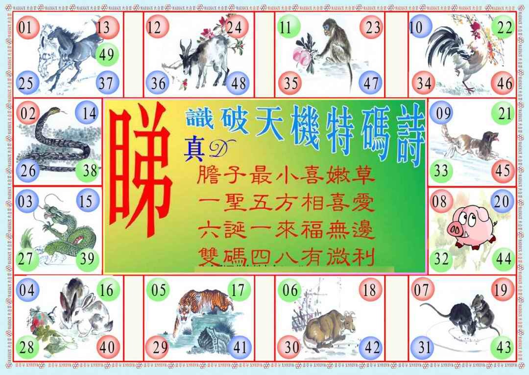 037期识破天机B版[图]